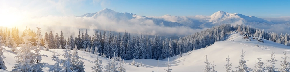 Snow covered forests and mountain peaks